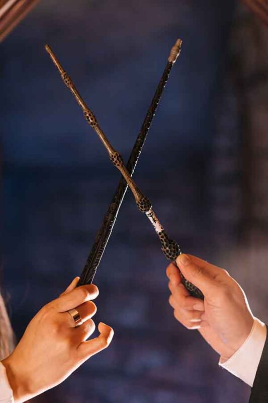 harry potter wands