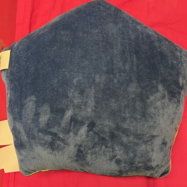 Harry Potter - Chocolate Frog Box Pillow