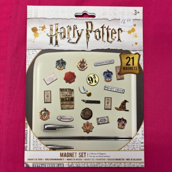 Harry Potter - 21 Piece Magnet Set