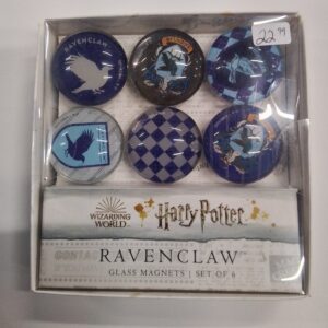 Harry Potter Ravenclaw Glass Magnet Set